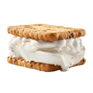 Icecream sandwich